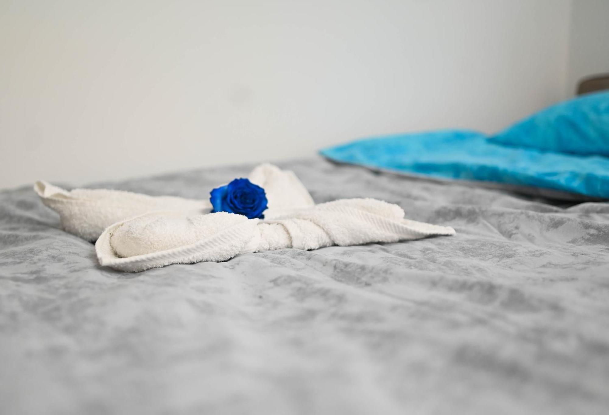 Sunset Apartment Smederevo Ngoại thất bức ảnh