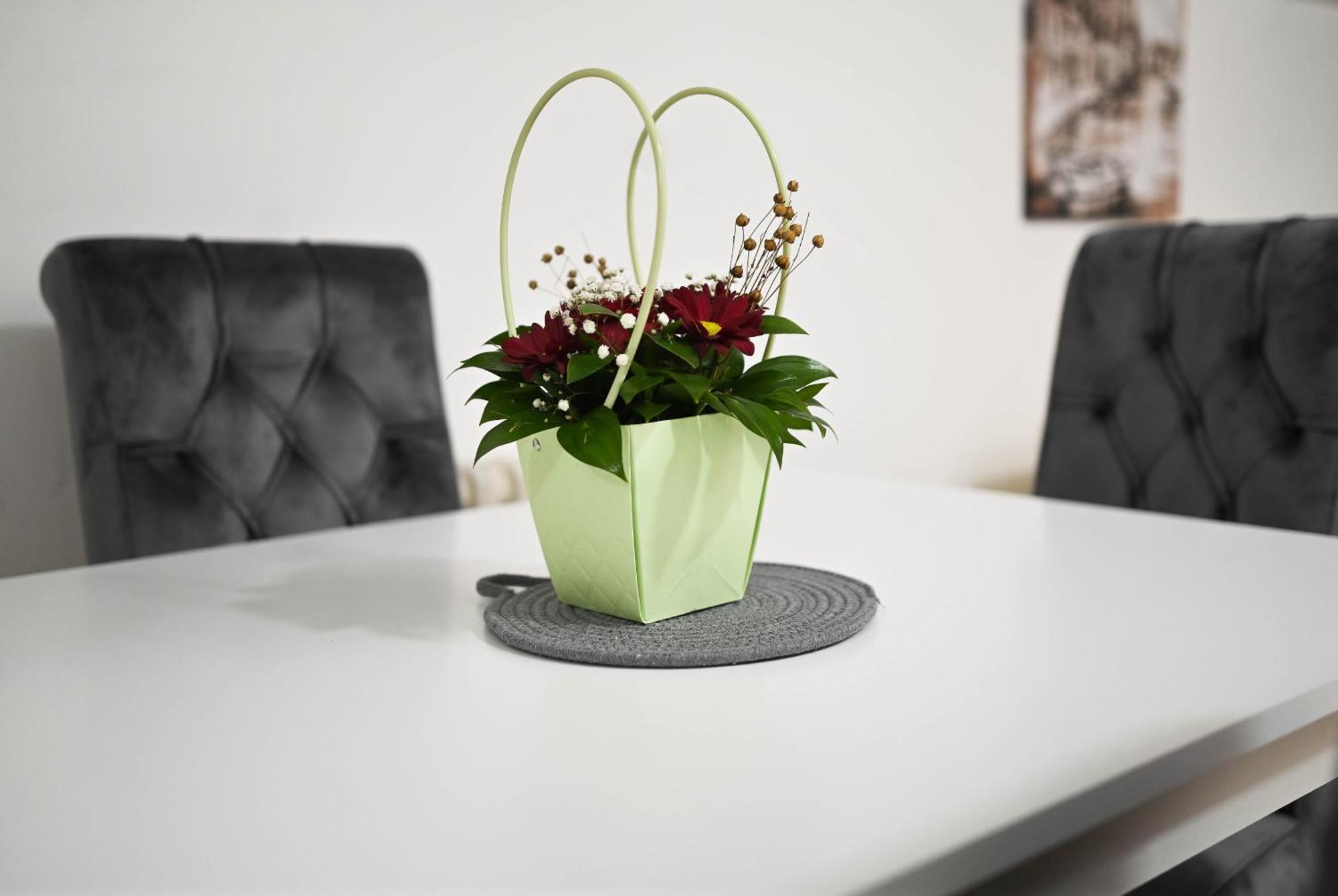 Sunset Apartment Smederevo Ngoại thất bức ảnh